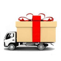 Vianočné doručovanie