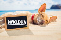 POZOR DOVOLENKA! POZOR DOVOLENKA!