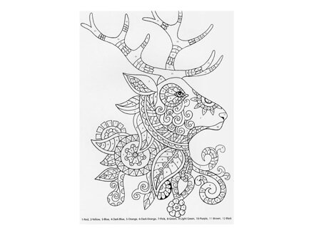 Antistresová omaľovánka A4 - v divočine