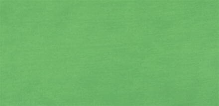 LUKAS akrylová farba TERZIA 500ml, zelená svetlá