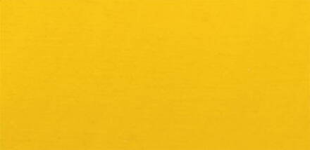 LUKAS akrylová farba TERZIA 500ml, indiánska žltá