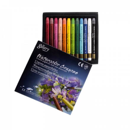 Mungyo gallery akvarelový pastel 12 ks