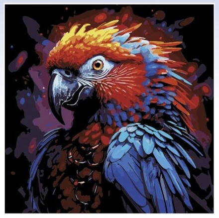 Maľovanie podľa čísel na čierne plátno - papagáj 30x30 cm